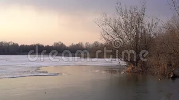 夕阳下的春天里的河流视频的预览图