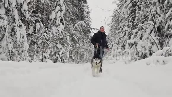 在冬天的森林里一个穿着黑色夹克和牛仔裤的男人和一只西伯利亚哈士奇狗跑步这是一个慢镜头松杉视频的预览图