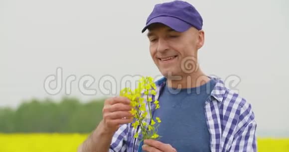 农场快乐农夫油菜花画像视频的预览图