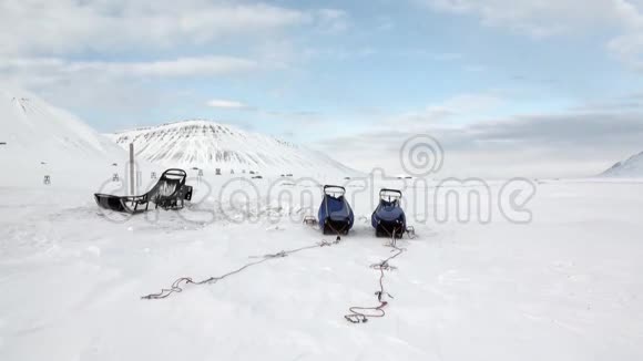 在北极雪的背景下为狗队雪橇视频的预览图
