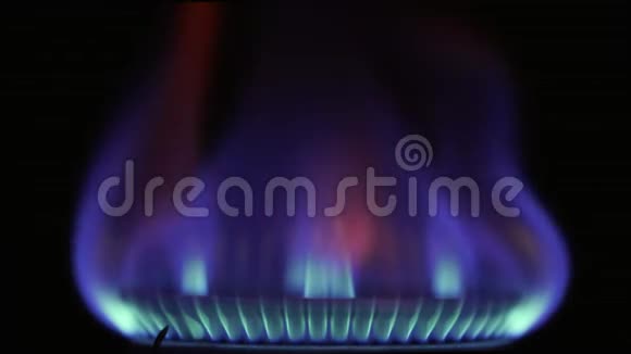 煤气炉的火焰炉子上煤气燃烧的火焰黑色背景视频的预览图