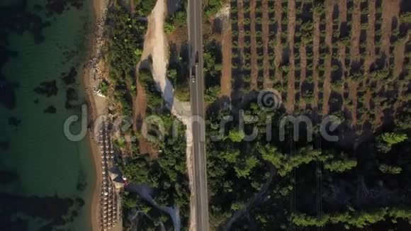 希腊海滨沿岸绿树和公路的空中拍摄视频的预览图