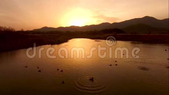 大韩民国庆尚南道阳山日落河畔演奏视频的预览图