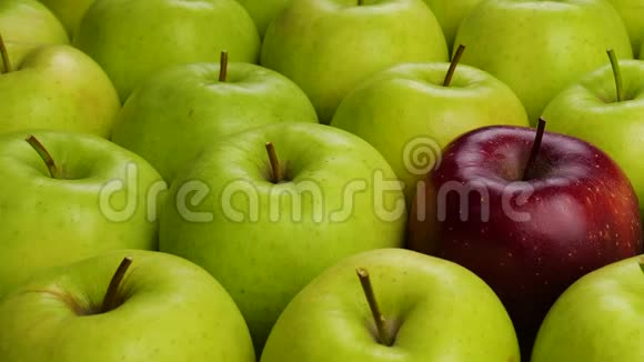 红苹果在绿苹果桌子上有许多苹果健康饮食视频的预览图