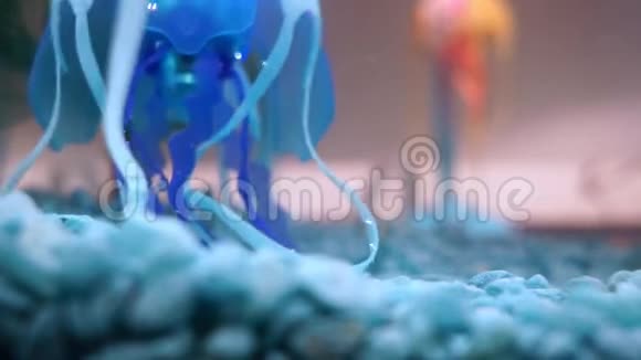 水下机器人水母漂浮在水族馆里视频的预览图