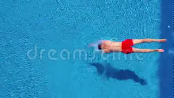 穿红色短裤的人在游泳池游泳视频的预览图