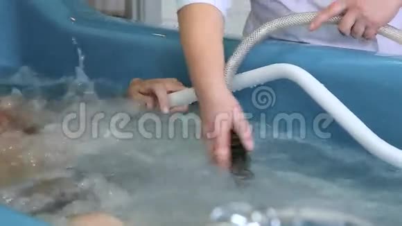 一位护士正在做水力按摩视频的预览图