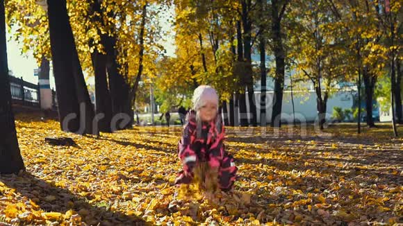 印度夏天小可爱的女孩在城市公园里玩黄叶视频的预览图