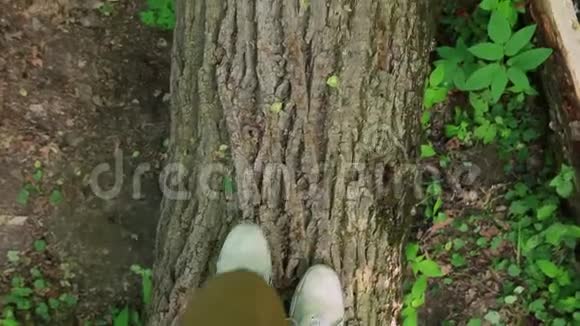 女人双腿在森林里的木原木上行走观点视频的预览图