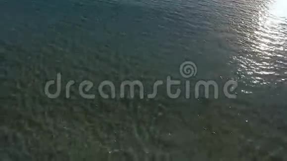戴墨镜的深褐色美女从海洋里出来视频的预览图