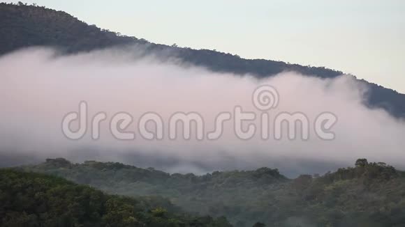 4k大雾流经泰国高耀国家公园的山谷视频的预览图