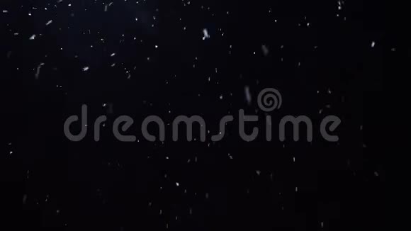 冬天的夜晚下着雪花视频的预览图