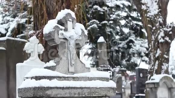 白雪公主墓碑视频的预览图