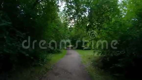 在公园里散步沿着森林路径运动POV视频的预览图