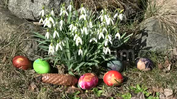 复活节背景风中的雪花和草地上的彩蛋视频的预览图