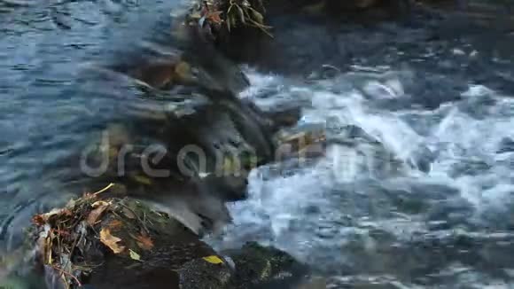 山河瀑布自然瀑布五颜六色的绿色苔藓岩石瀑布和瀑布自然背景美丽的bl视频的预览图