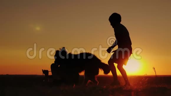 两个农村男孩在日落时和他们最喜欢的狗玩视频的预览图