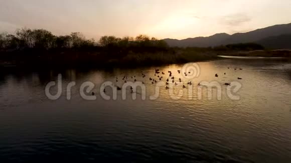 大韩民国庆尚南道阳山日落河畔演奏视频的预览图