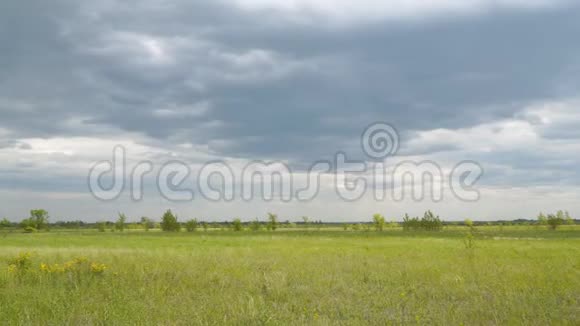 阴天的大片绿色草地全景视频的预览图