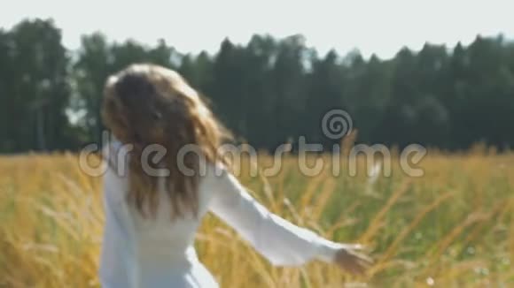 一个穿着白色连衣裙的女人带着小麦沿着田野走着动作缓慢注意力不集中视频的预览图