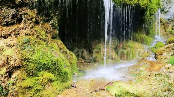 德国瀑布在春天视频的预览图