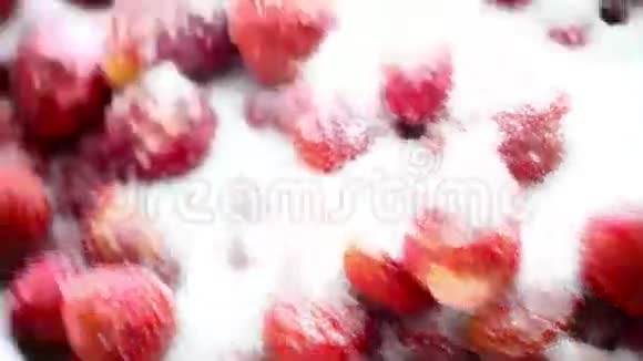 糖里的草莓视频的预览图