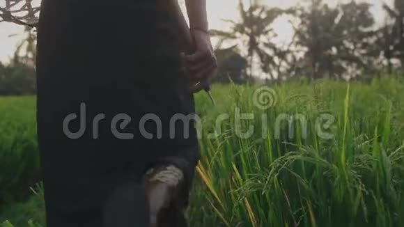 农民去工作的后景视频的预览图