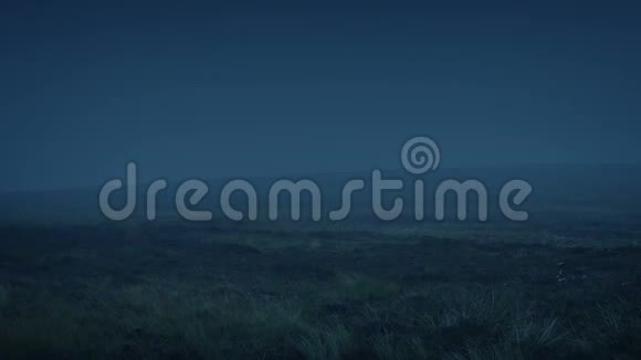 夜晚的雾霭荒野视频的预览图