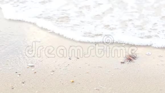 海浪拍打海滩海浪拍打沙滩视频的预览图