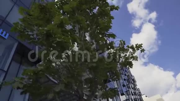 创意城市街区高层建筑玻璃立面和阳台视频的预览图