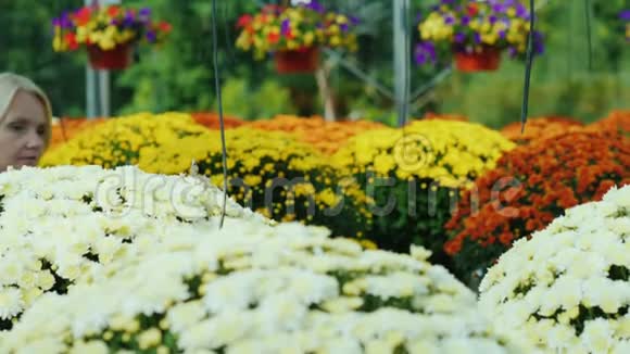 在一家漂亮的花店里顾客选择花看和闻它们花卉苗圃视频的预览图