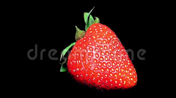 黑色背景下的新鲜草莓特写细节视频的预览图
