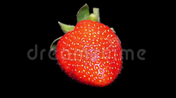黑色背景下的新鲜草莓特写细节视频的预览图