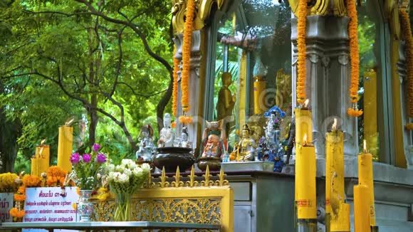 寺佛在树下亚洲的佛教蜡烛和花宗教信仰场所视频的预览图