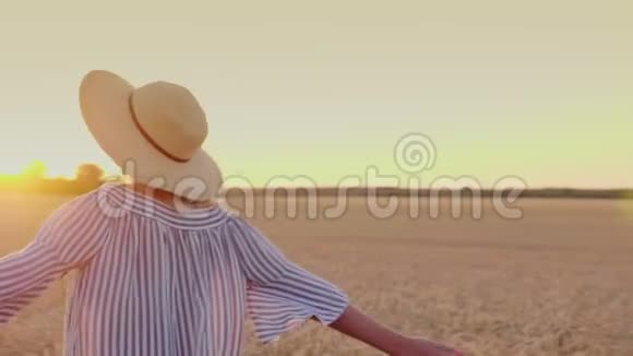 日落时分一位年轻女子走在麦田里视频的预览图