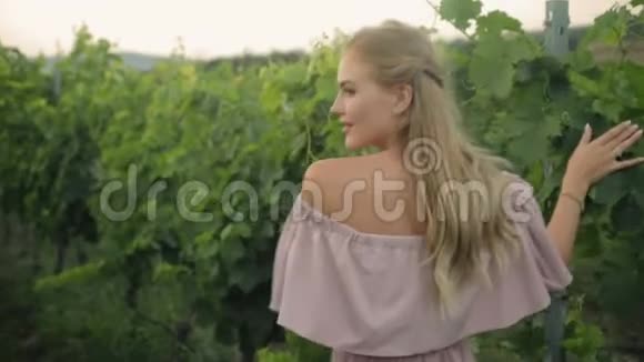 穿着粉红色裙子的金发女郎走在绿色的葡萄园里视频的预览图