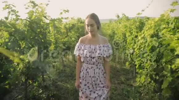 嫩嫩的年轻女子沿着一排排葡萄园散步视频的预览图
