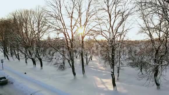 空中在金色的冬天日出时在汽车上方驾驶着穿过雪林冬季旅行的人们视频的预览图