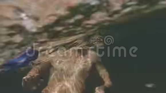 帅哥用棍子在海里洗澡自拍在岩石的背景下水下射击视频的预览图