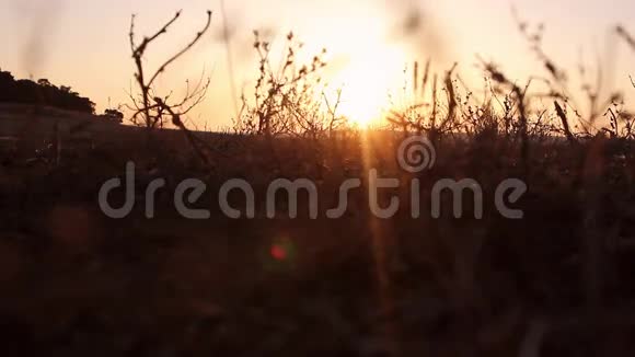 去夕阳下角一个人正靠着夕阳沿着马路走旅行者概念视频的预览图