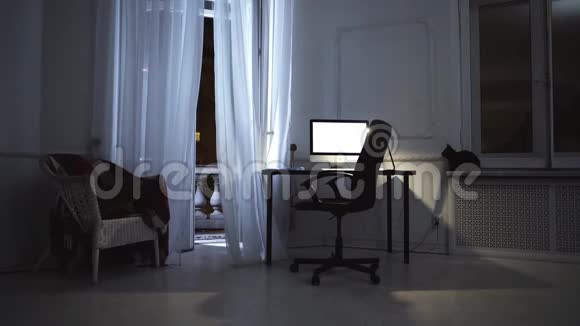 电脑屏幕在房间里发光窗台上有黑猫窗帘在风中摇动视频的预览图