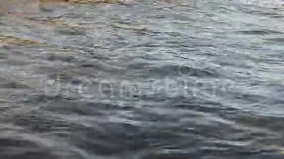 宽北河的冷水视频的预览图