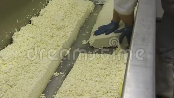 工厂工人加工奶酪视频的预览图