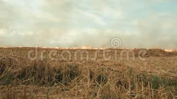 燃烧着烟雾缭绕的田野视频的预览图