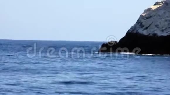 鲸鱼从太平洋岩石旁边的水下潜水视频的预览图