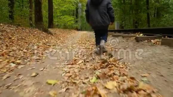 一个孩子走过秋天的森林后景女孩正沿着秋叶散步视频的预览图