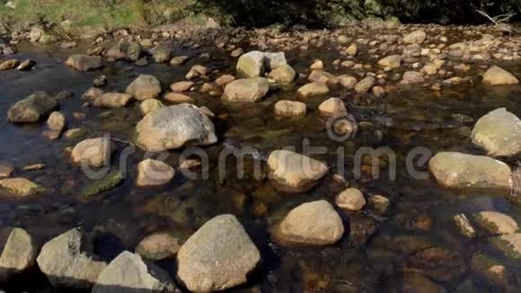 爱尔兰威克洛山脉的小溪视频的预览图