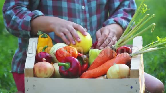 一个年轻女孩手上的盒子里的新鲜蔬菜视频的预览图