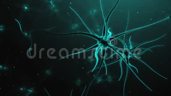 大脑神经元三维动画视频的预览图