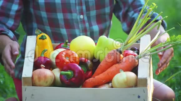 一个年轻女孩手上的盒子里的新鲜蔬菜视频的预览图